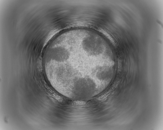 X0000094790878200712071226