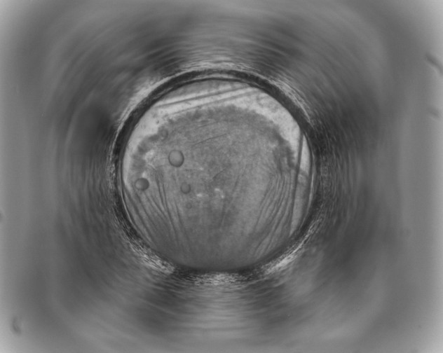 X0000094790879200712071226