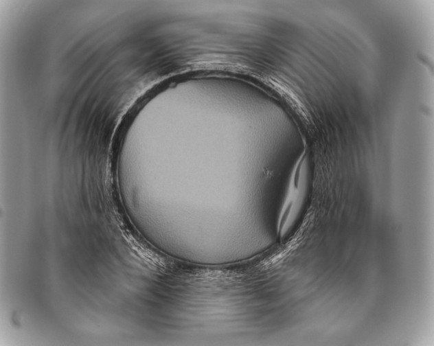 X0000094790880200712071226