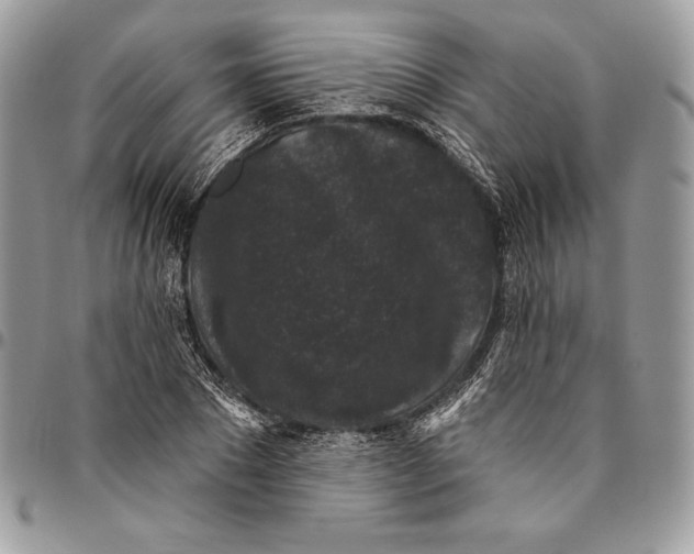 X0000094790881200712071226