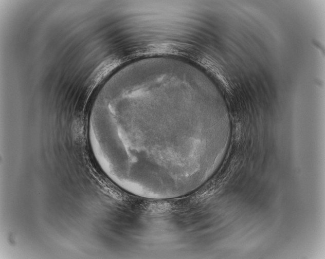 X0000094790882200712071226