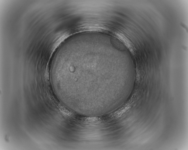 X0000094790883200712071226