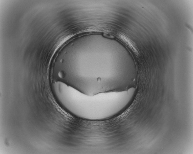 X0000094790884200712071226