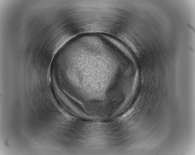 X0000094790885200712071226