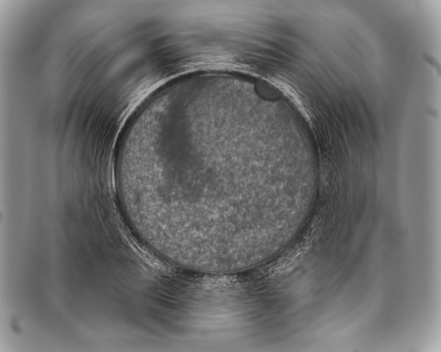 X0000094790887200712071226