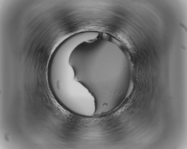 X0000094790888200712071226