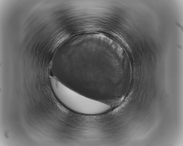 X0000094790889200712071226