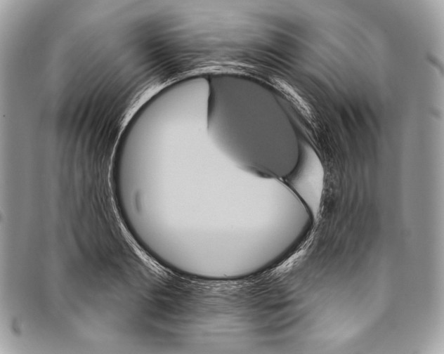 X0000094790893200712071226