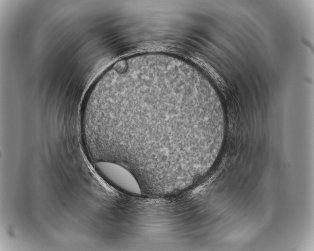 X0000094790894200712071226