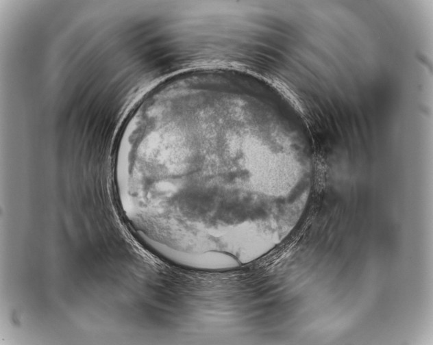 X0000094790895200712071226