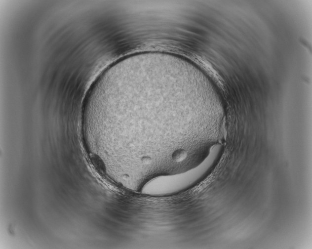 X0000094790896200712071226