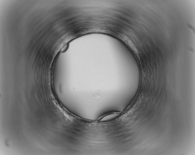 X0000094790898200712071226