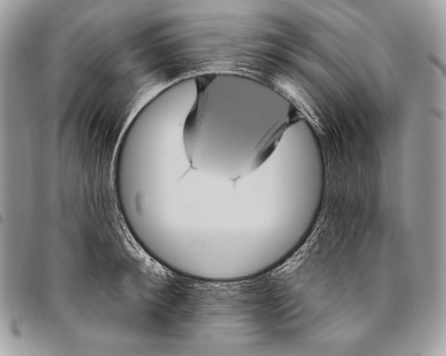 X0000094790900200712071226