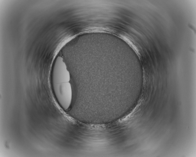 X0000094790901200712071226