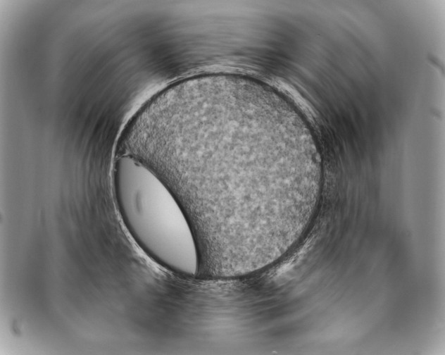 X0000094790902200712071225