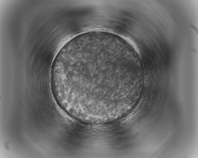 X0000094790903200712071225