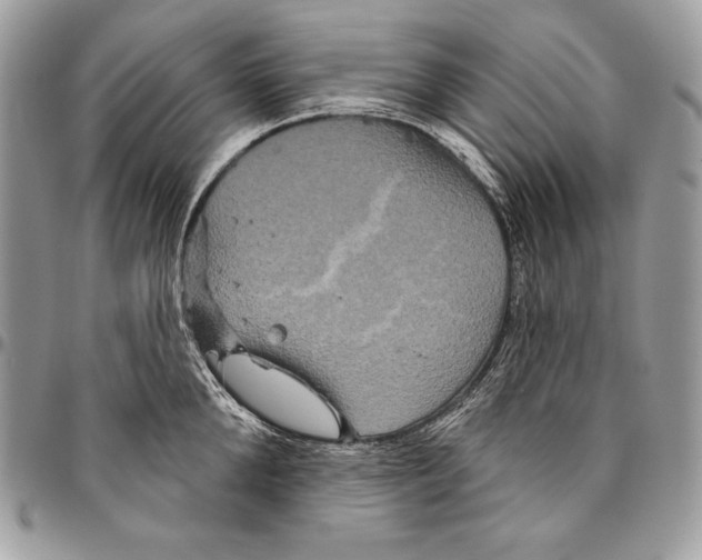 X0000094790904200712071225