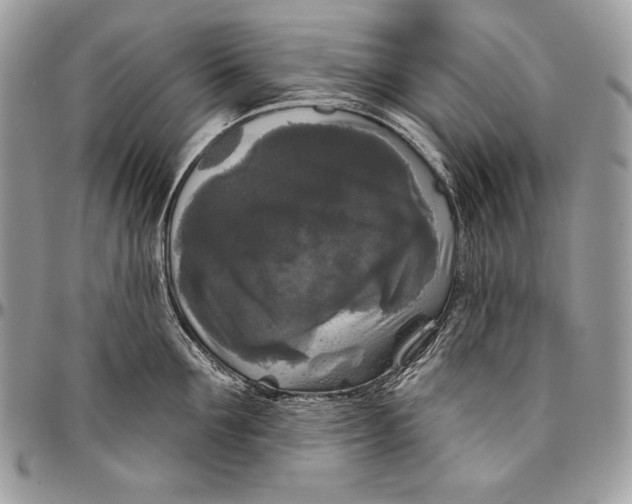 X0000094790907200712071225