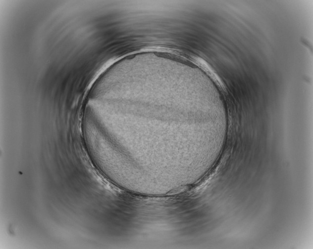 X0000094790908200712071225