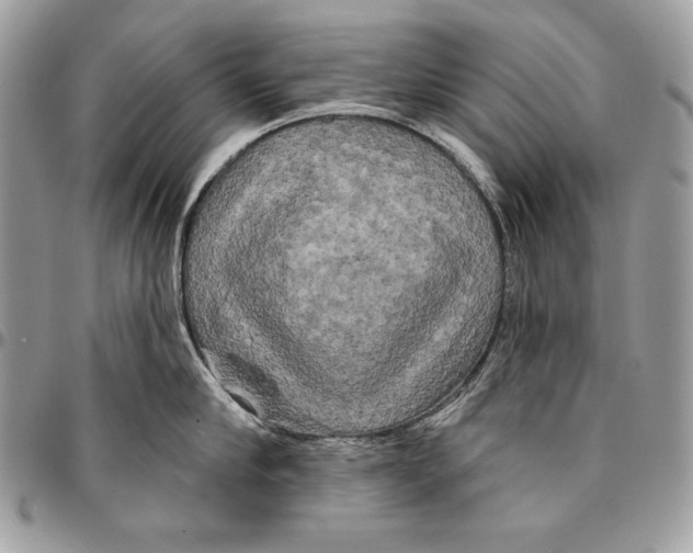 X0000094790910200712071225