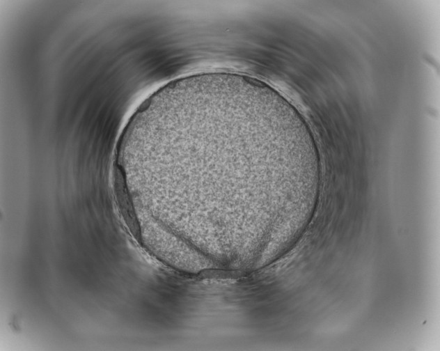 X0000094790912200712071225