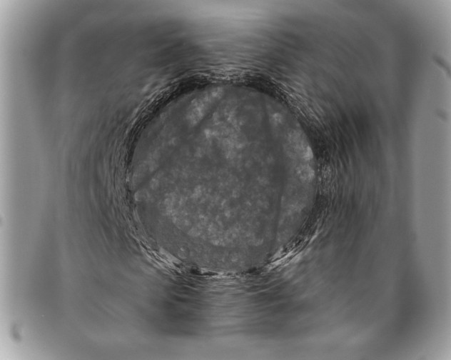 X0000094790913200712071225