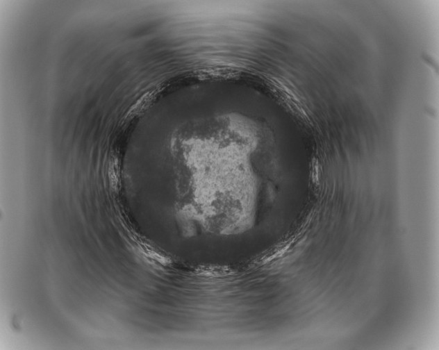 X0000094790915200712071225