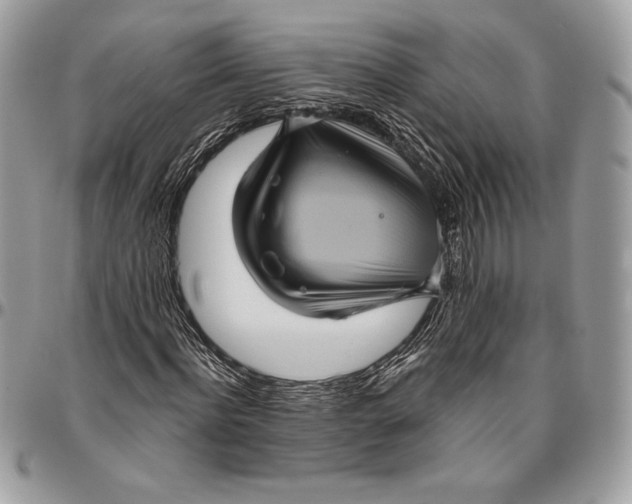 X0000094790916200712071225