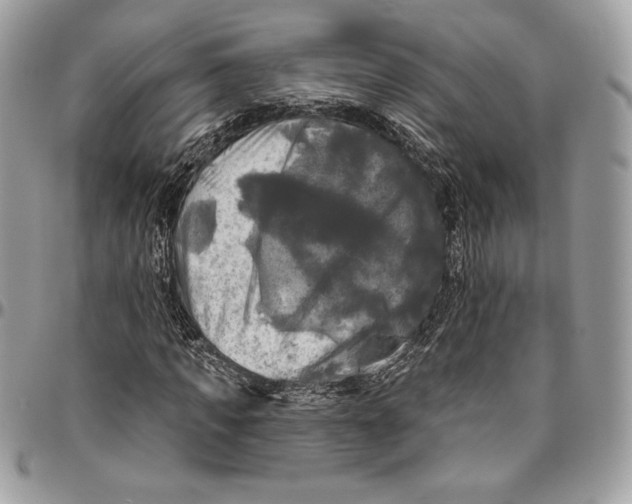 X0000094790917200712071225