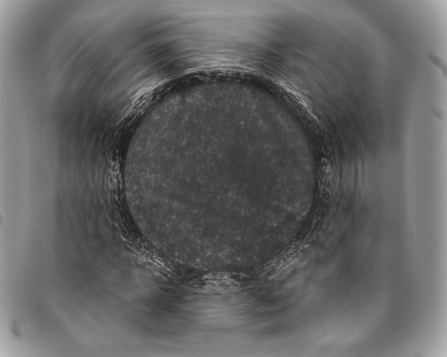 X0000094790918200712071225