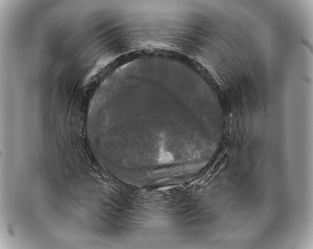 X0000094790919200712071225