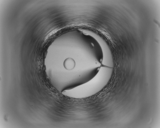 X0000094790920200712071225