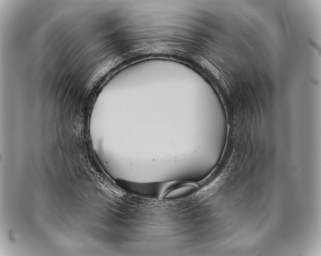 X0000094790922200712071225