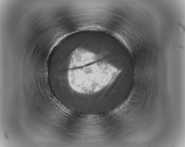 X0000094790923200712071225