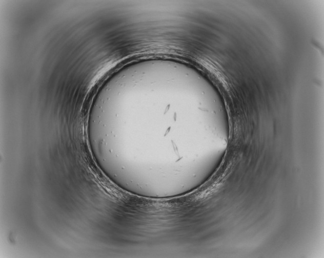 X0000094790925200712071225