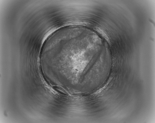 X0000094790928200712071225