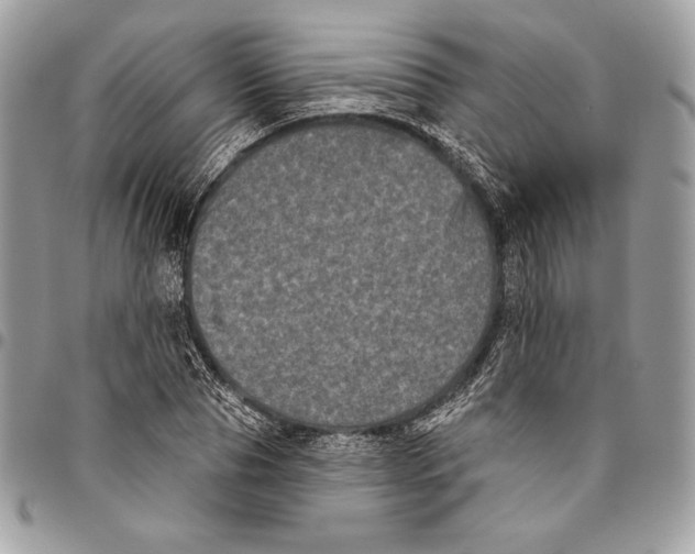 X0000094790929200712071225