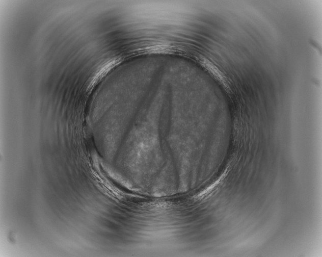 X0000094790930200712071225