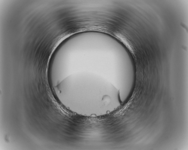 X0000094790932200712071225