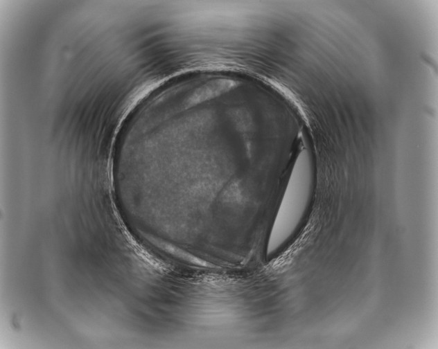 X0000094790935200712071225