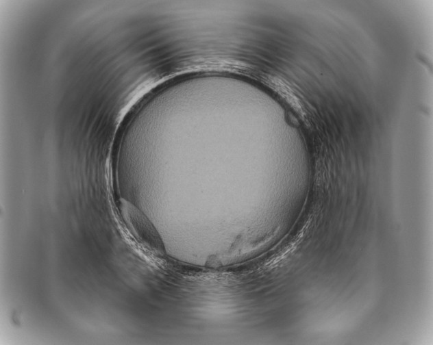 X0000094790936200712071225