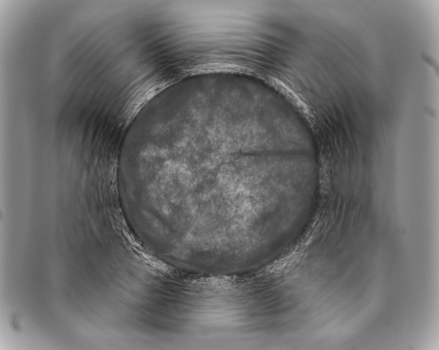 X0000094790937200712071225