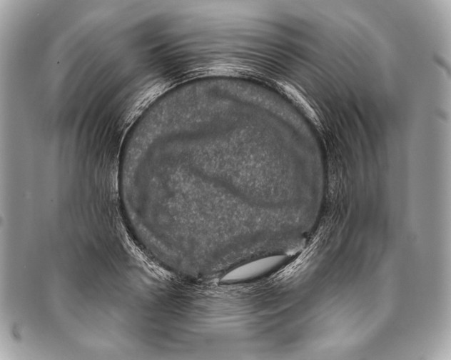 X0000094790938200712071225