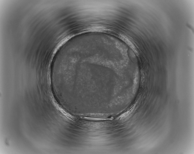 X0000094790939200712071225