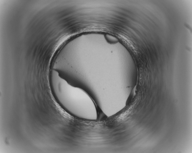 X0000094790942200712071225