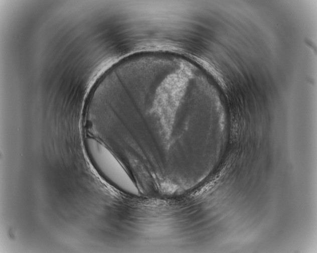 X0000094790943200712071225