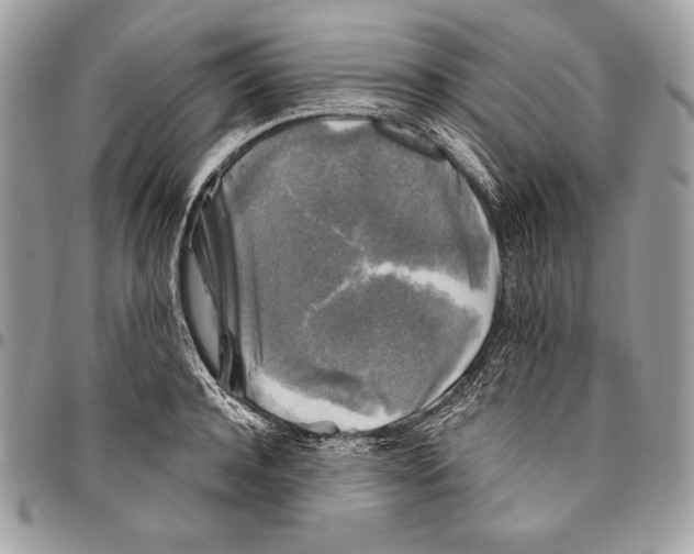 X0000094790944200712071225