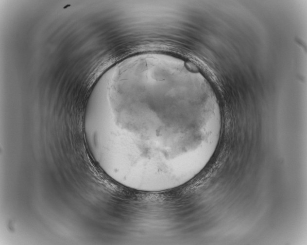 X0000094790945200712071225