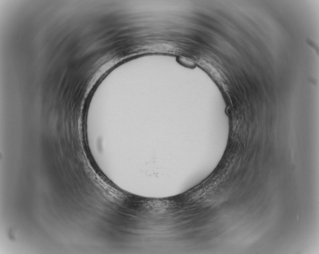 X0000094790947200712071225