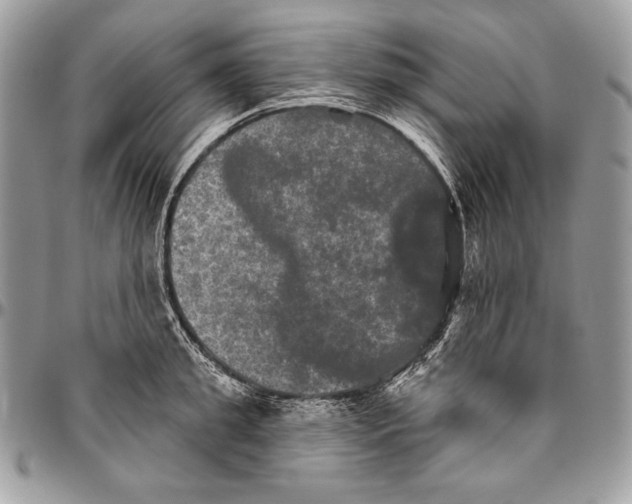 X0000094790949200712071225